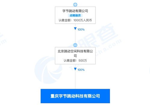 字節(jié)跳動(dòng)跨界布局 重慶子公司經(jīng)營(yíng)范圍新增房地產(chǎn)經(jīng)紀(jì)與技術(shù)咨詢(xún)